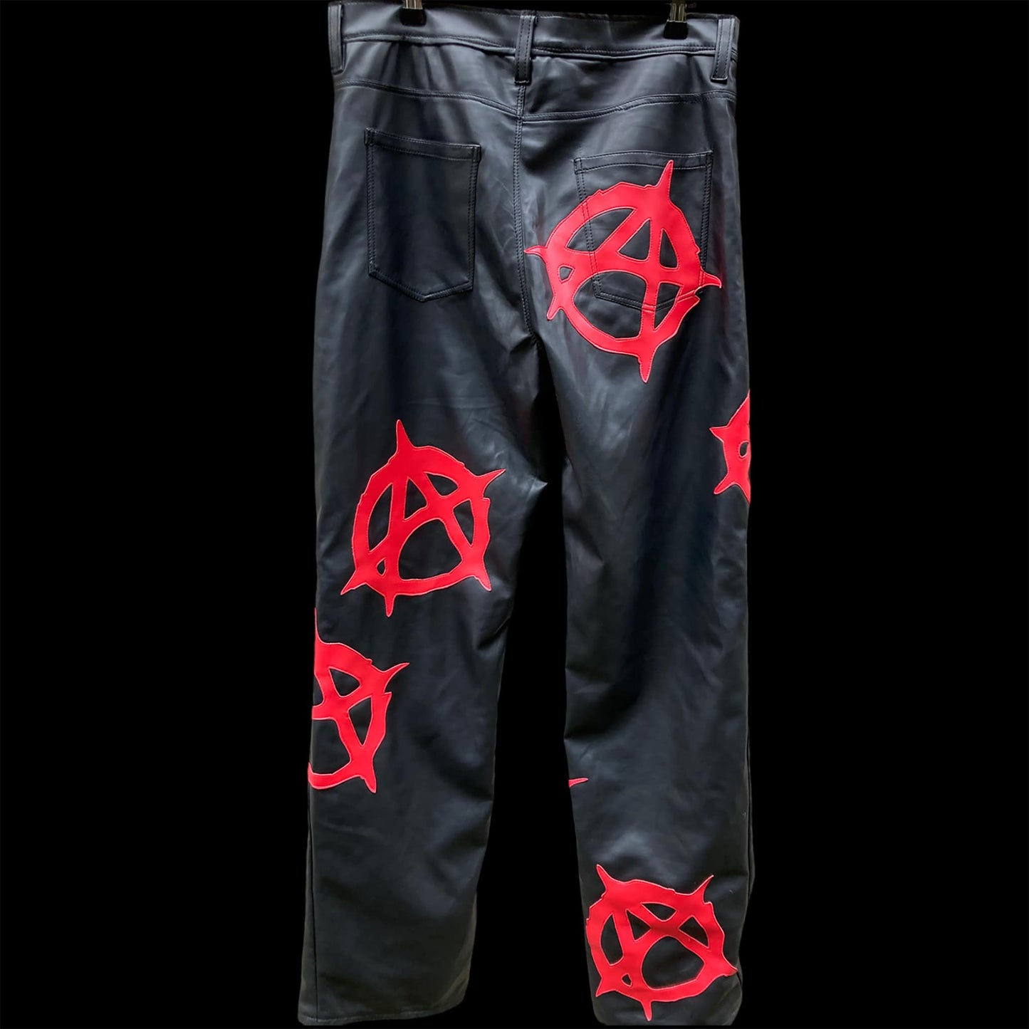 back of the anarchy pleather pants